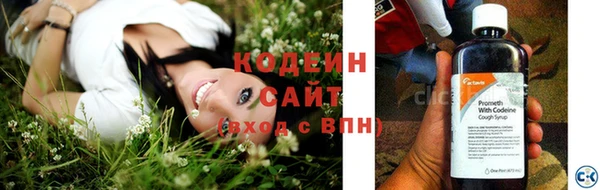 прущая мука Гусев