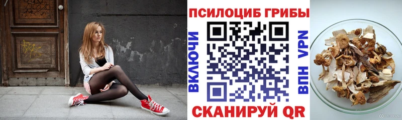 где купить наркоту  Олёкминск  Псилоцибиновые грибы Psilocybe 